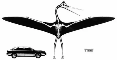 prehistoricos