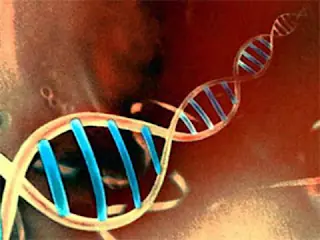 Crean la mayor base de datos del genoma del cáncer