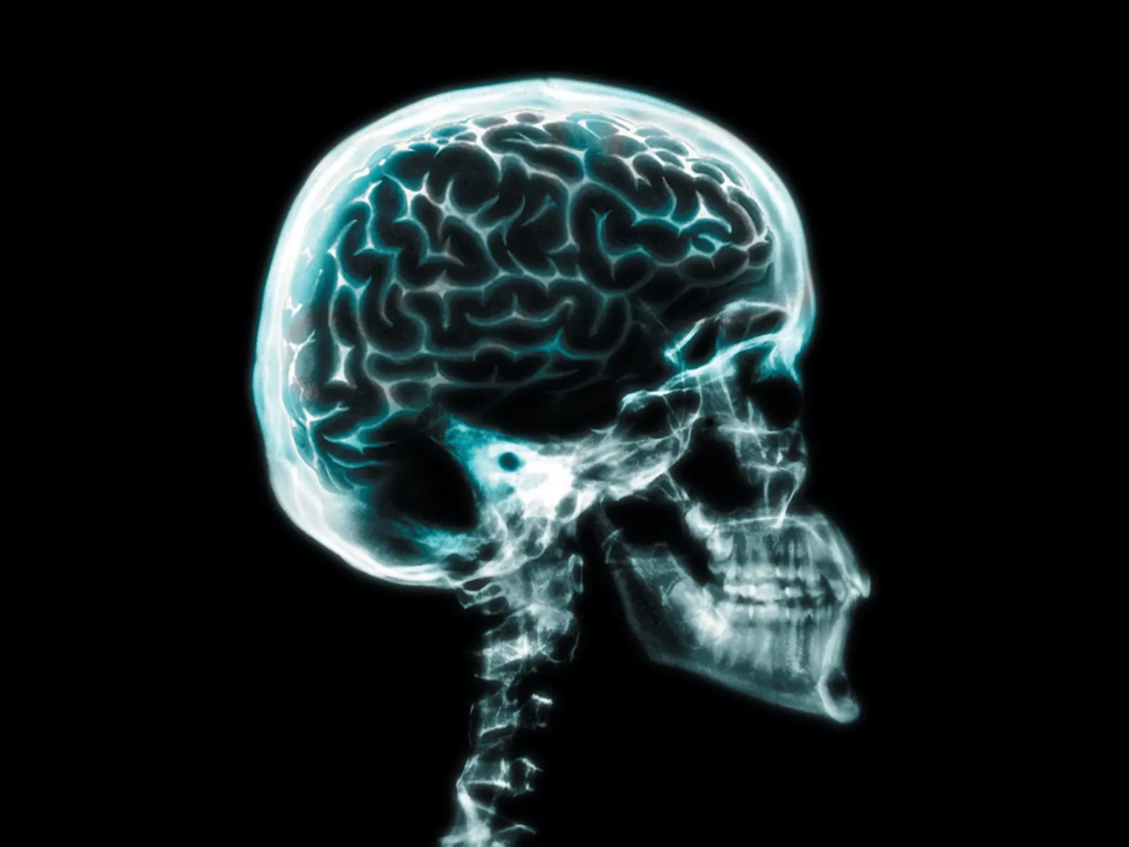 Salud Mental