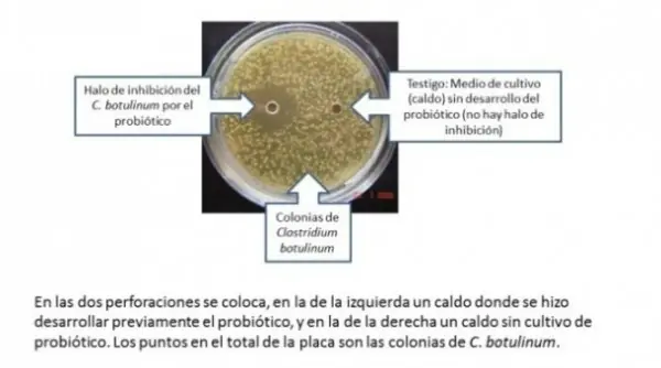 Descubren como prevenir el botulismo en bebés