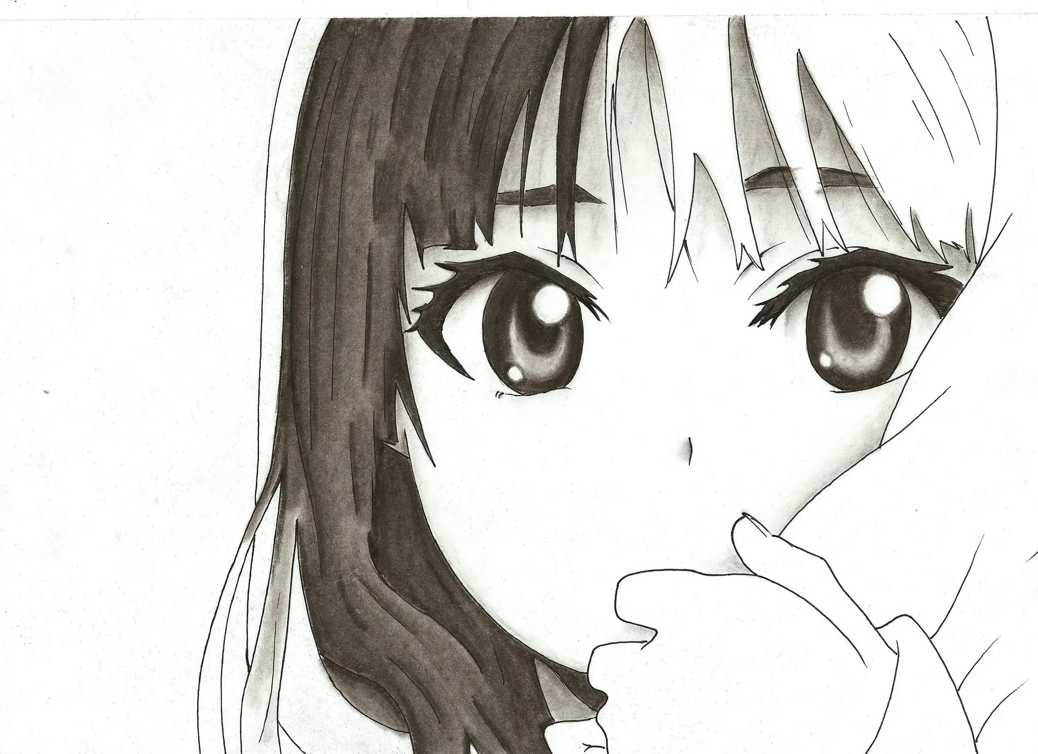 lapiz