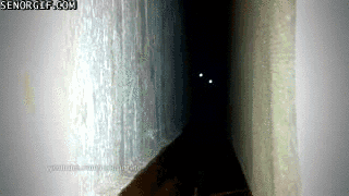 Gifs
