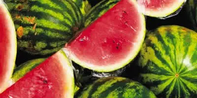 ¿La Sandia Tiene El Mismo Efecto Que El Viagra?