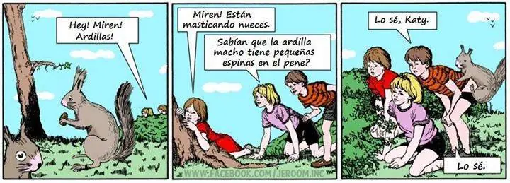 quinta
