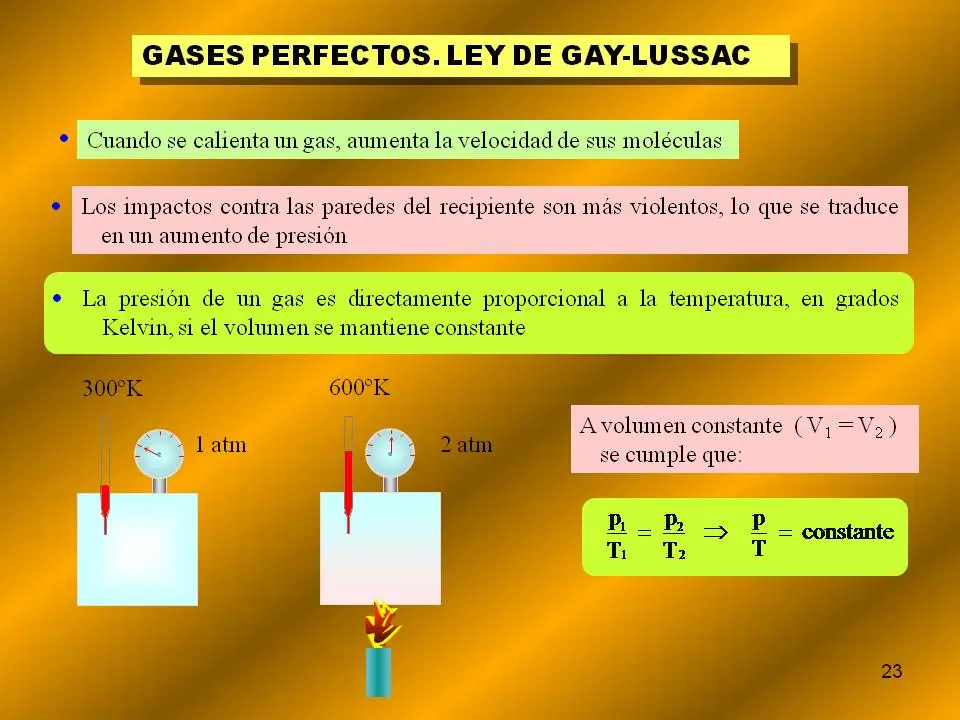 bachillerato