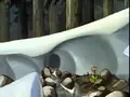 dibujos animados
