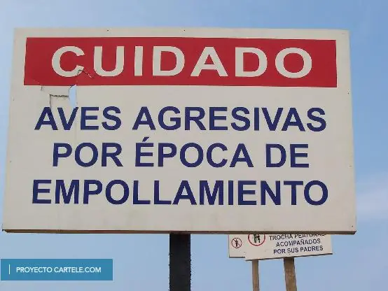 imagenes
