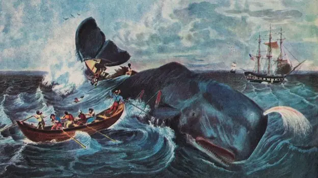 La verdadera historia de Moby Dick. ¿puede una ballena atac