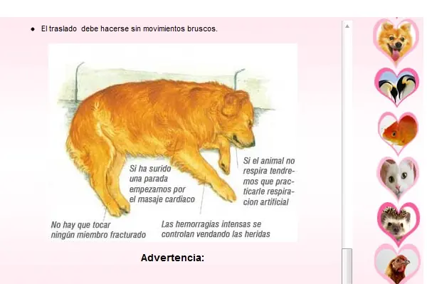 primeros