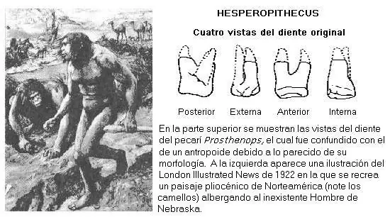 ancestros