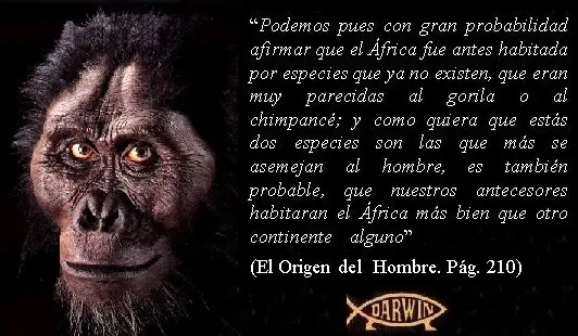 Mentiras Creacionistas