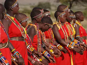 El lenguaje nació en África