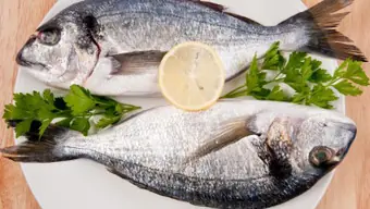Crean un antidepresivo a base de grasa de pescado
