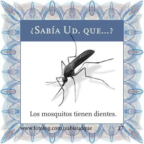 30 Cosas que capaz no sabías!   1era parte
