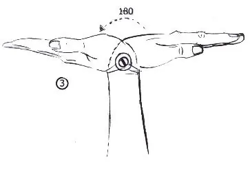 como dibujar: anatomia 1: esqueleto parte cuatro