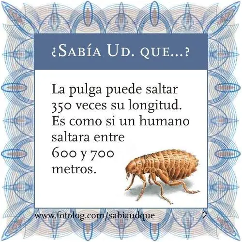 cosas