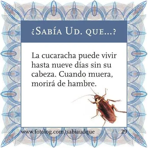sabias