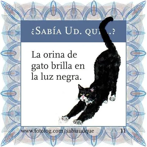 cosas