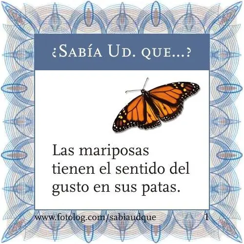 30 Cosas que capaz no sabías! 1era parte
