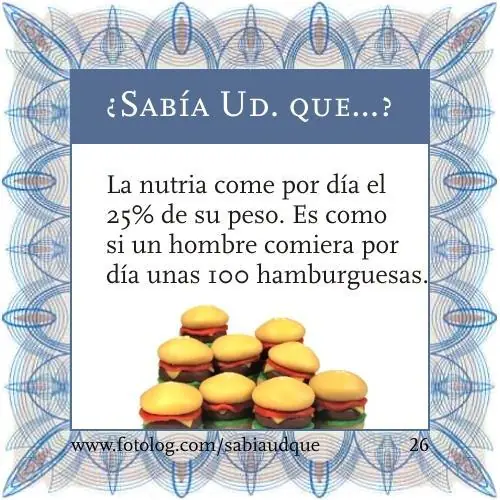 capaz