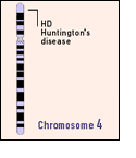 Neurociencia / Enfermedad de Huntington