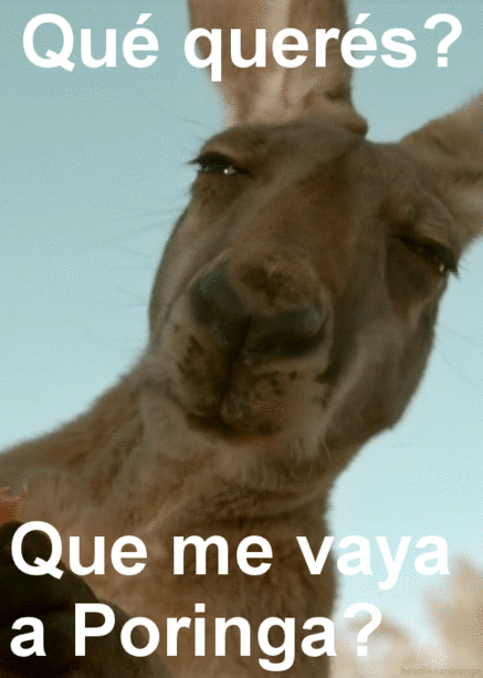 Mañaneras