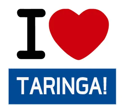 Jamas podrán igualar al grande: Taringa