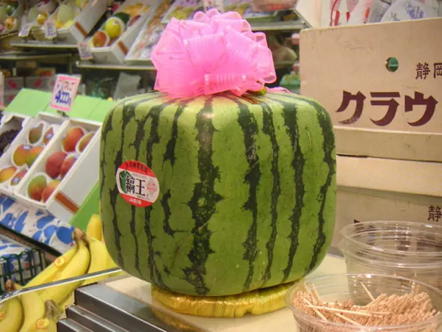 [Info] Sobre la sandia cuadrada