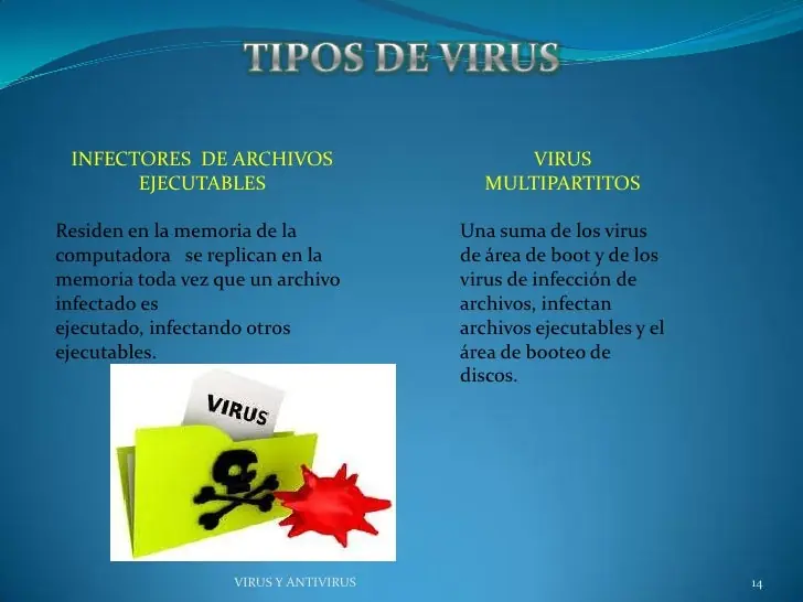 informaticos