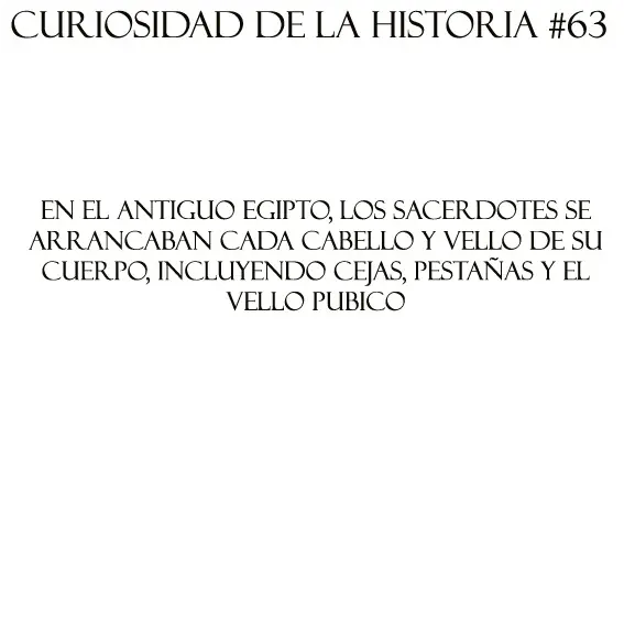 soldados