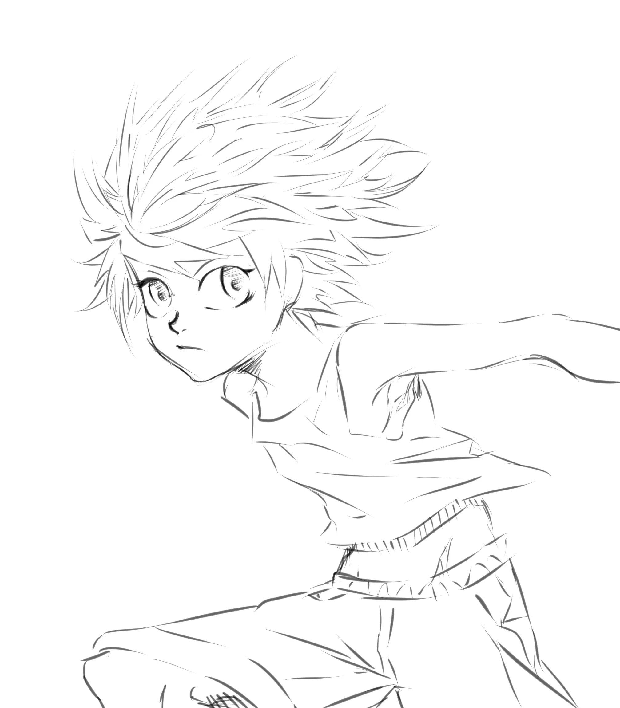hunter x hunter