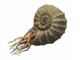 oceano