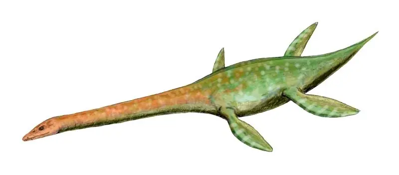 Animales marinos Jurásicos parte 1