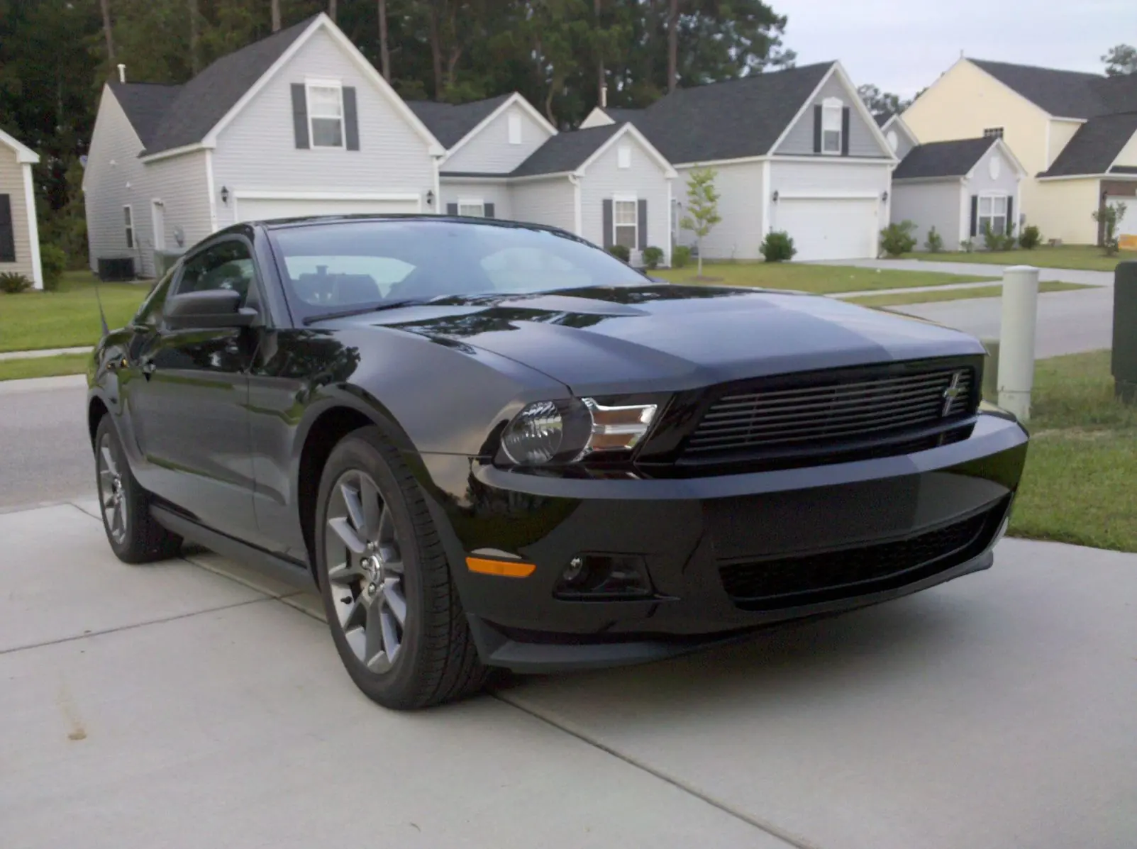 mustang