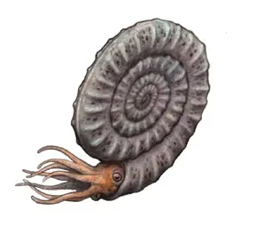 prehistorico
