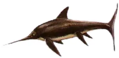 oceano