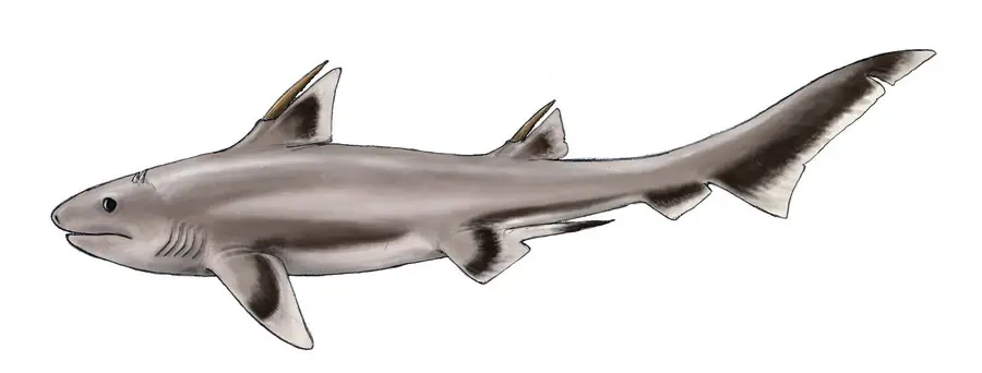 jurasico
