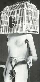 liza minelli
