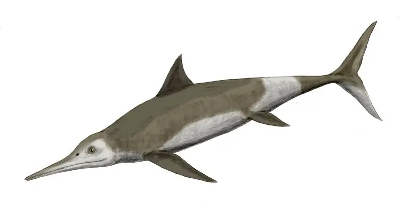 Mesozoico