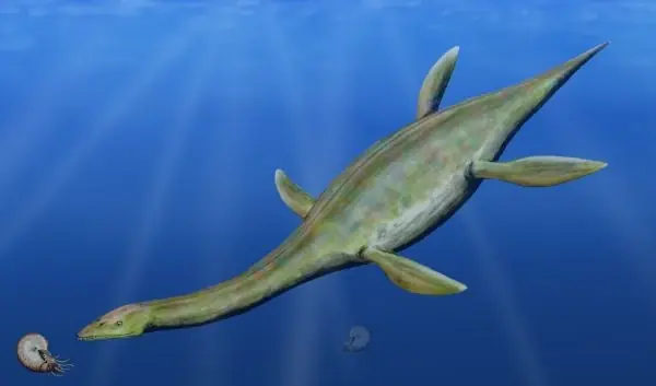 jurasico