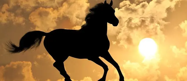 2014 será el año del caballo: Amistoso y renovado