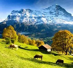 Alpes Suizos (espectacular)