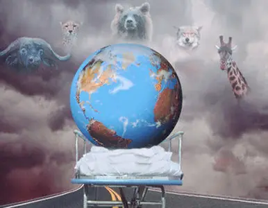 Estamos ante la 6ta extinción masiva de especies.