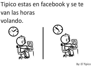 refle