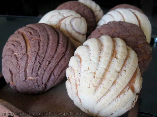 Conchas mexicanas