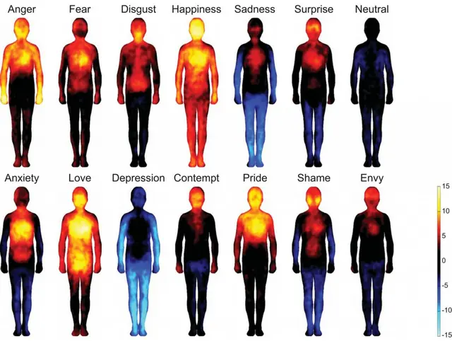¿En qué parte del cuerpo sentimos cada emoción?