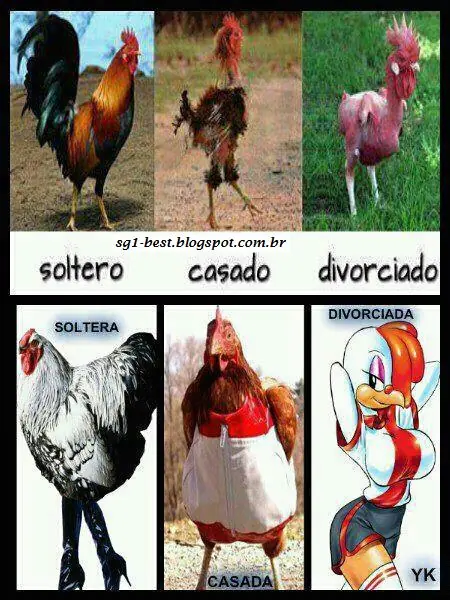 mundial