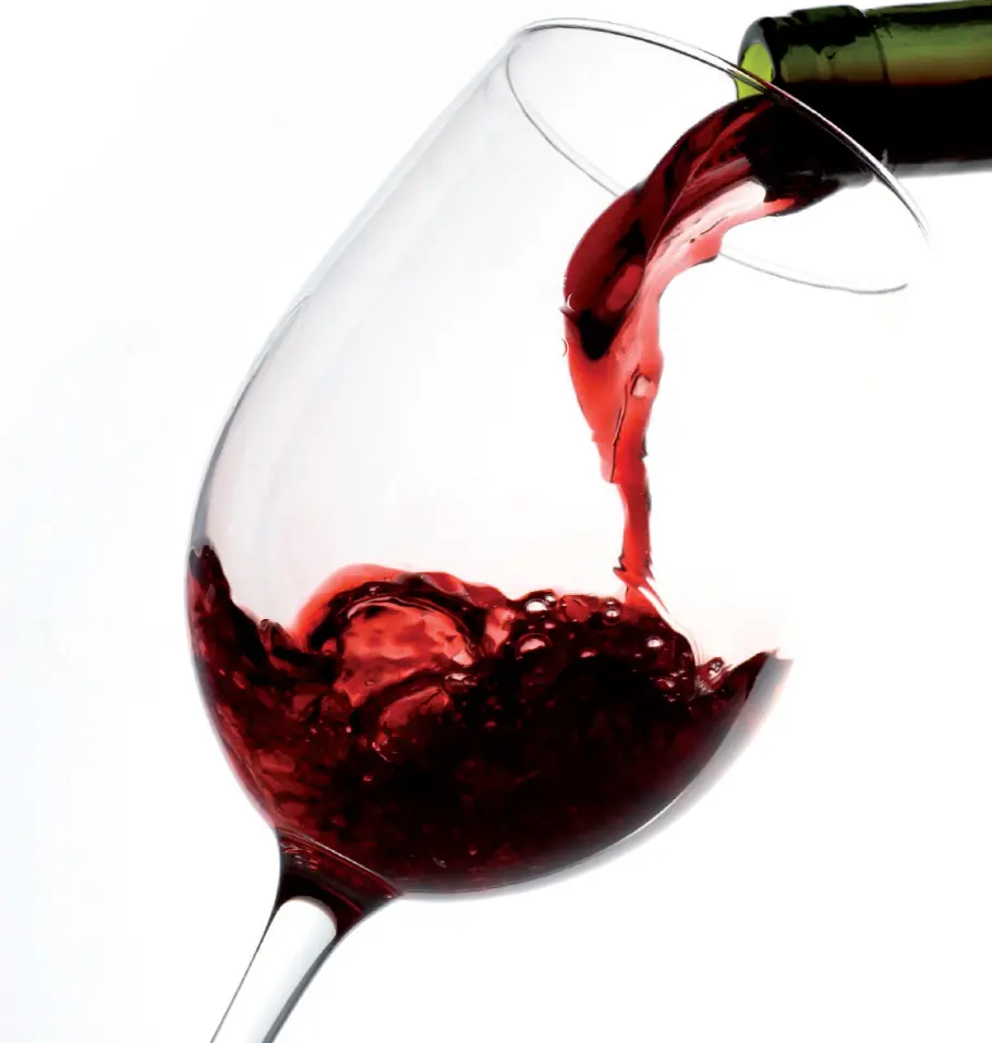 Hacer tu Propio Vino