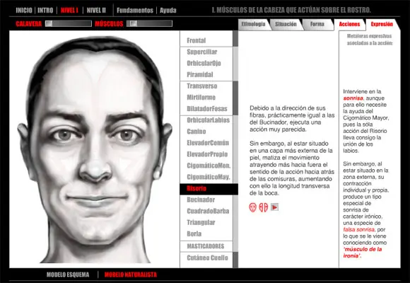 medicina