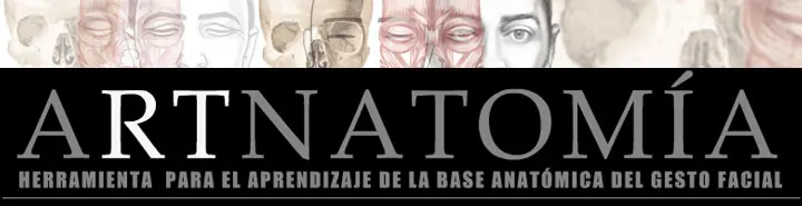 ARTNATOMIA - Anatomía/Gestos/Medicina/Arte/ de la Cara